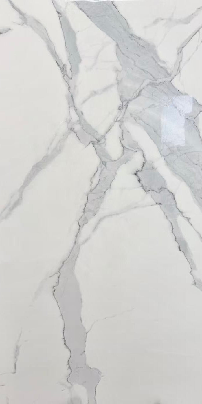 24"x48" 62046MG Polished Porcelain Tile image 1