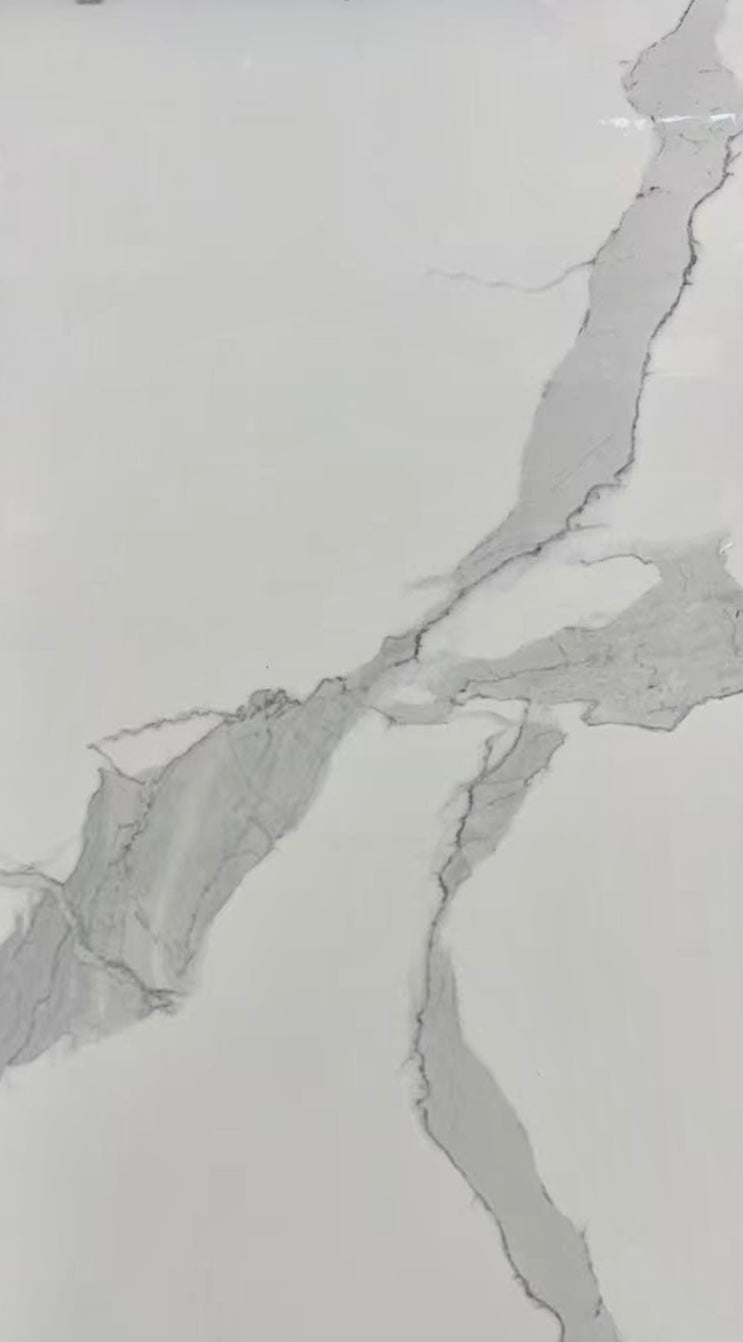 24"x48" 62046MG Polished Porcelain Tile image 0
