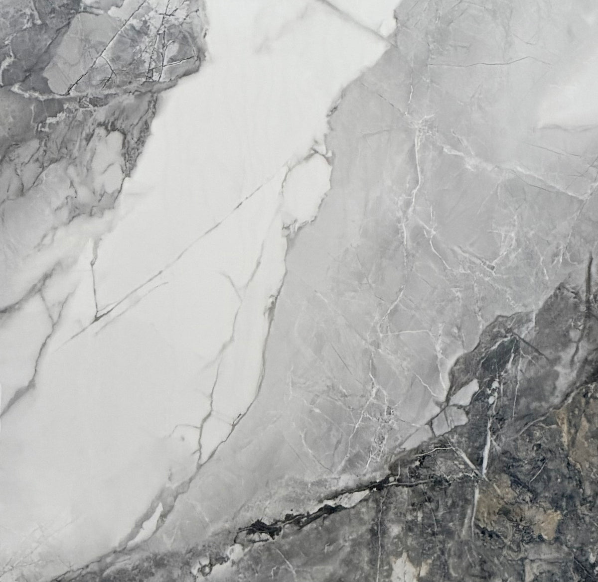 24"x24" S6036 Polished Porcelain Tile image 0