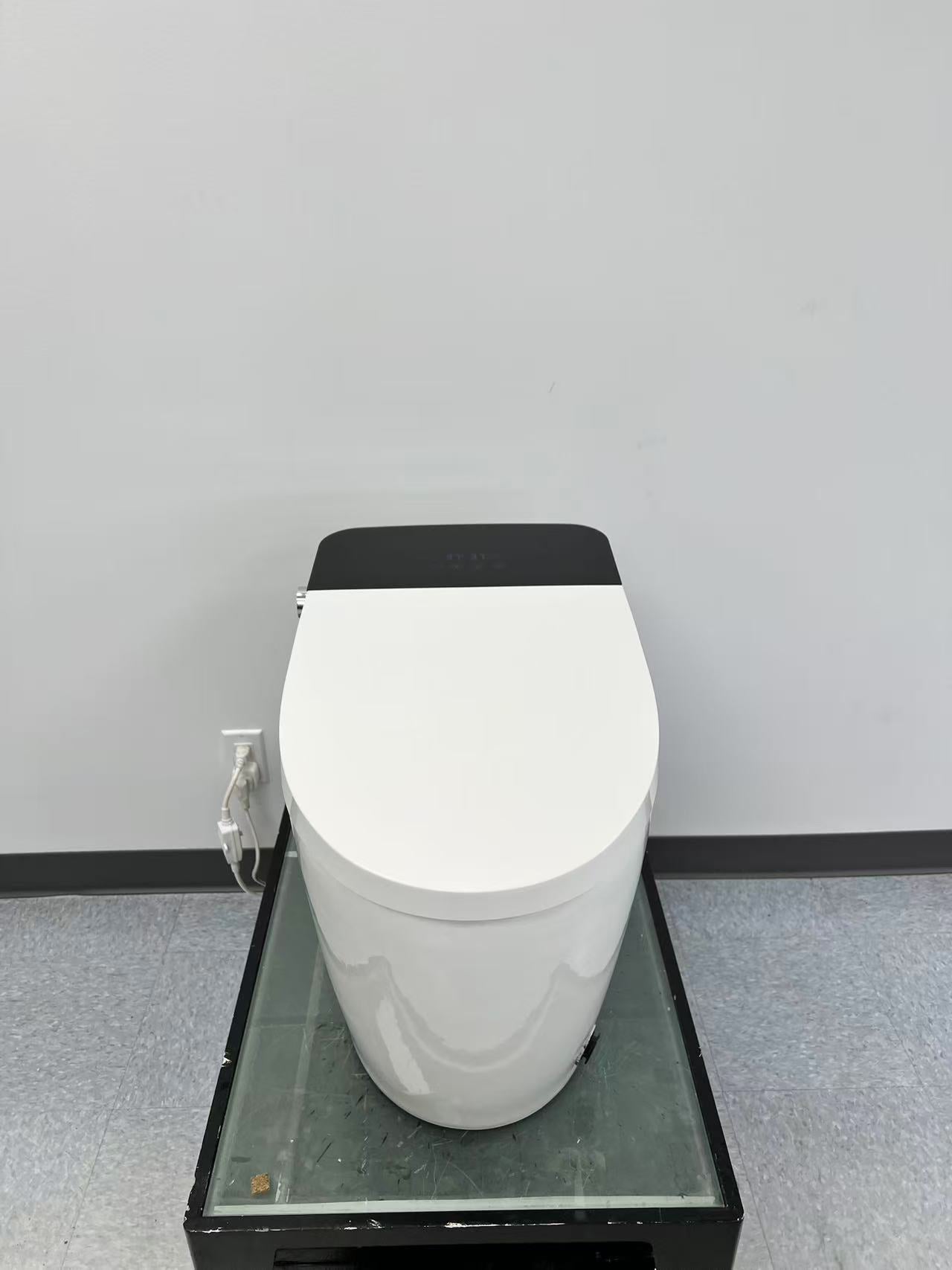 Smart Toilet