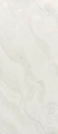 24"x48" BGP612M3023LGR Polished Porcelain Tile image 0