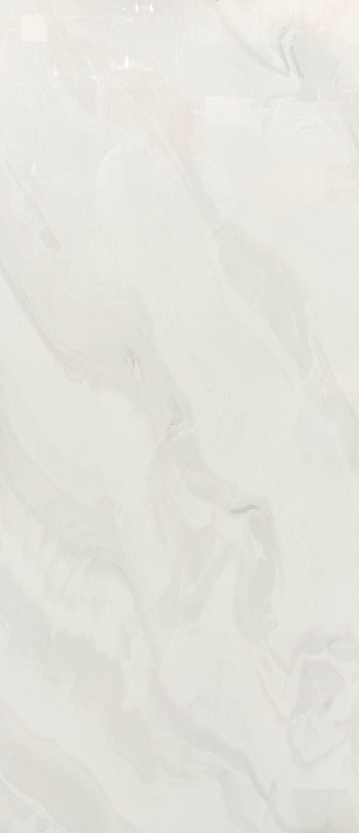 24"x48" BGP612M3023LGR Polished Porcelain Tile image 0