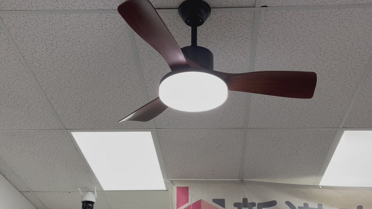 42" LED Fan Light