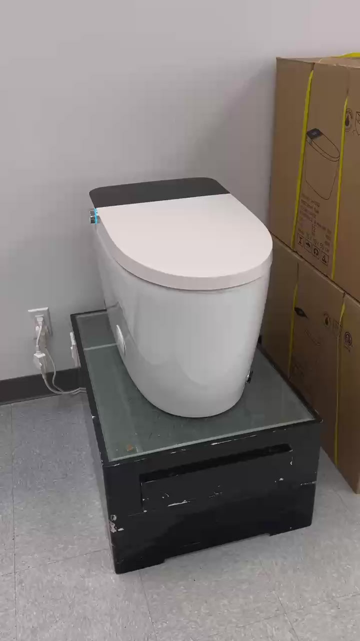Smart Toilet